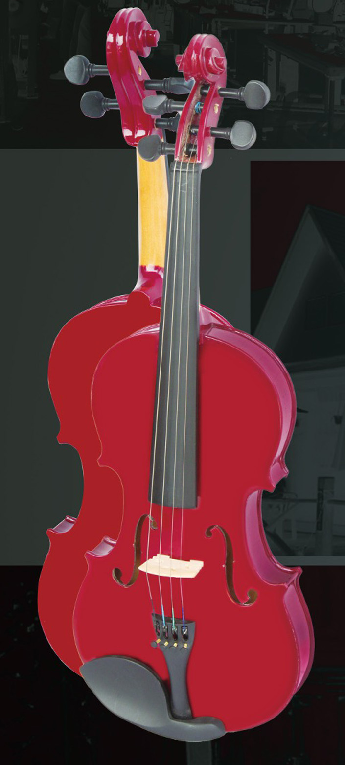 Violin